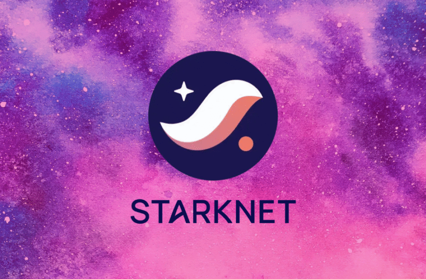 ⛓️‍💥 Starknet: la capa que reinventa el mundo digital